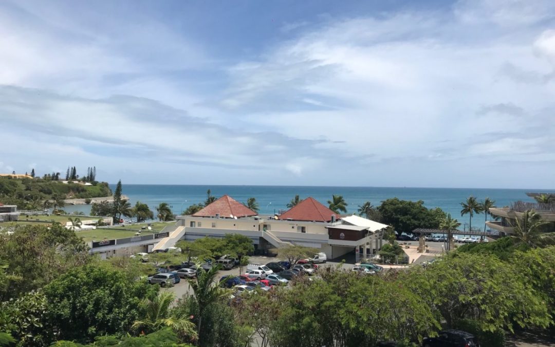 Appartement F2 à louer à la Baie des Citrons