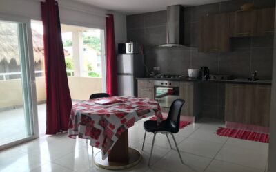 APPARTEMENT F2 au HAUT MAGENTA à la VENTE