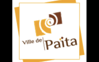 ENSEMBLE mixte COMMERCIAL & RÉSIDENTIEL à PAÏTA à la VENTE