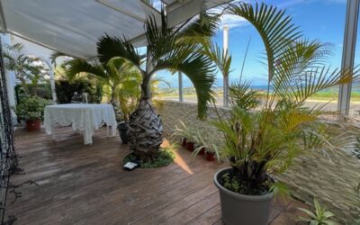 APPARTEMENT F4 / F5 au MONT-VENUS à la VENTE