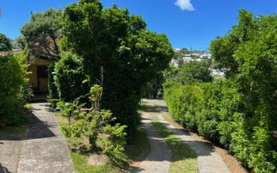VILLA F3 + 2 F2 au 4ème KM à la VENTE