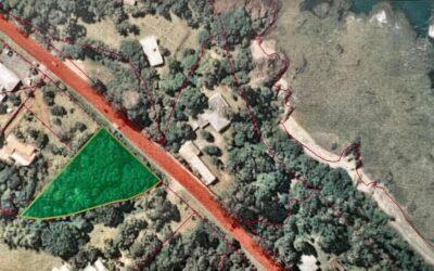 TERRAIN à POINDIMIE à la VENTE