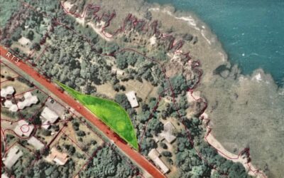 TERRAIN à POINDIMIE à la VENTE