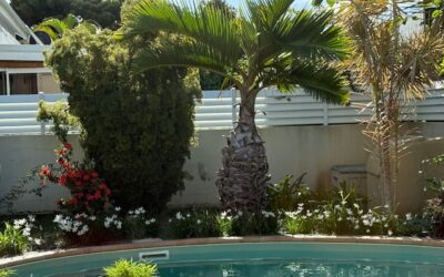 VILLA F4 – ANSE VATA à la Vente