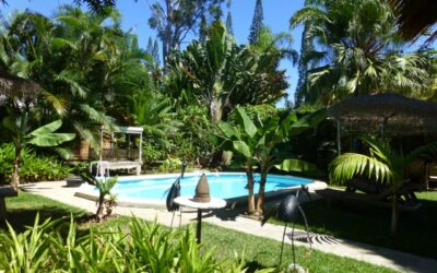 PROPRIÉTÉ au MONT DORE Sud à la VENTE