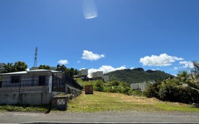 TERRAIN NU viabilisé à DUMBEA SUR MER à la VENTE