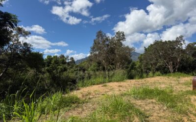 TERRAIN à NONDOUÉ à la VENTE