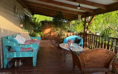 ENSEMBLE mixte COMMERCIAL & IMMOBILIER en copropriété à la VALLÉE DES COLONS à la VENTE