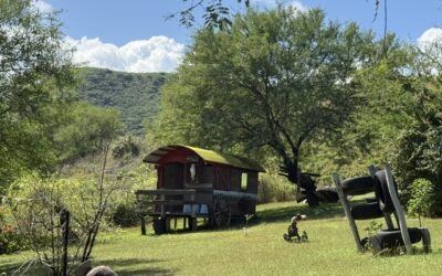 TERRAIN AGRICOLE à NAÏA (PAÏTA) à la VENTE